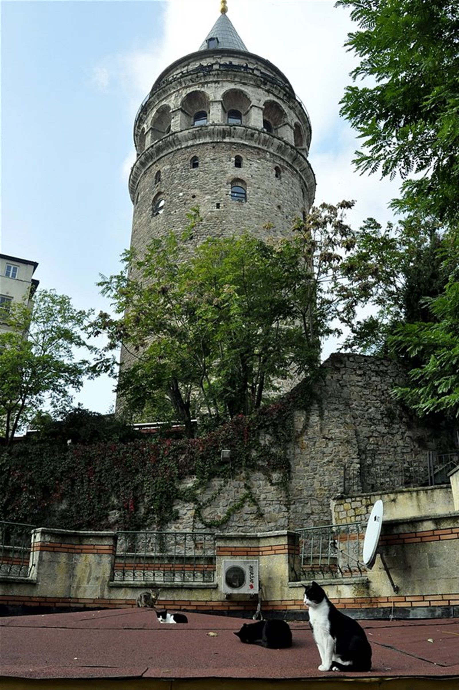 Torre di galata