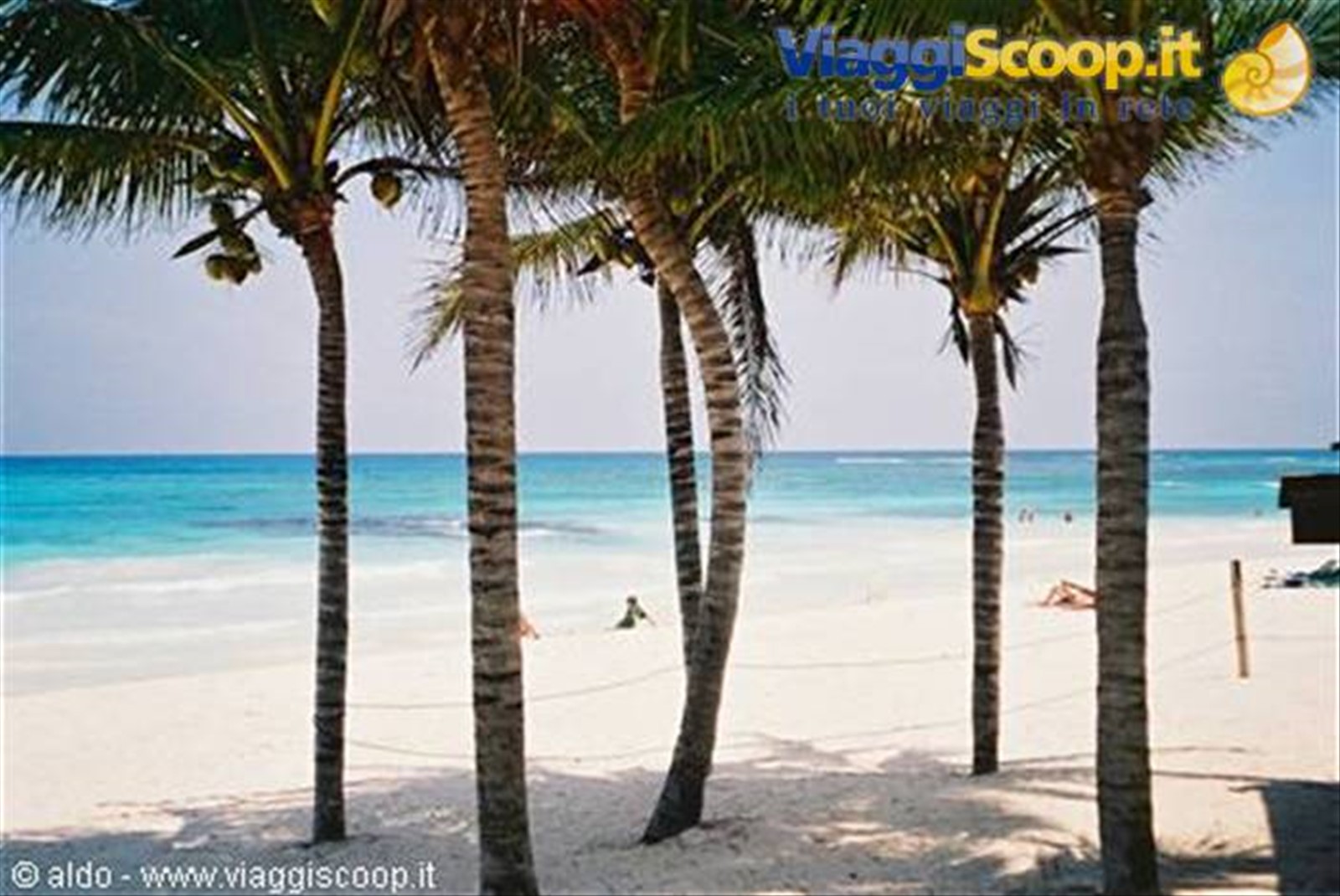 "Playa del Carmen"