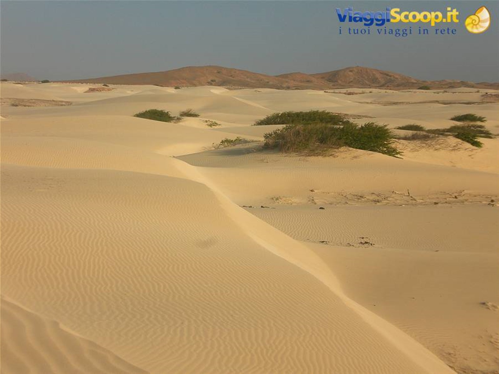 Deserto De Viana