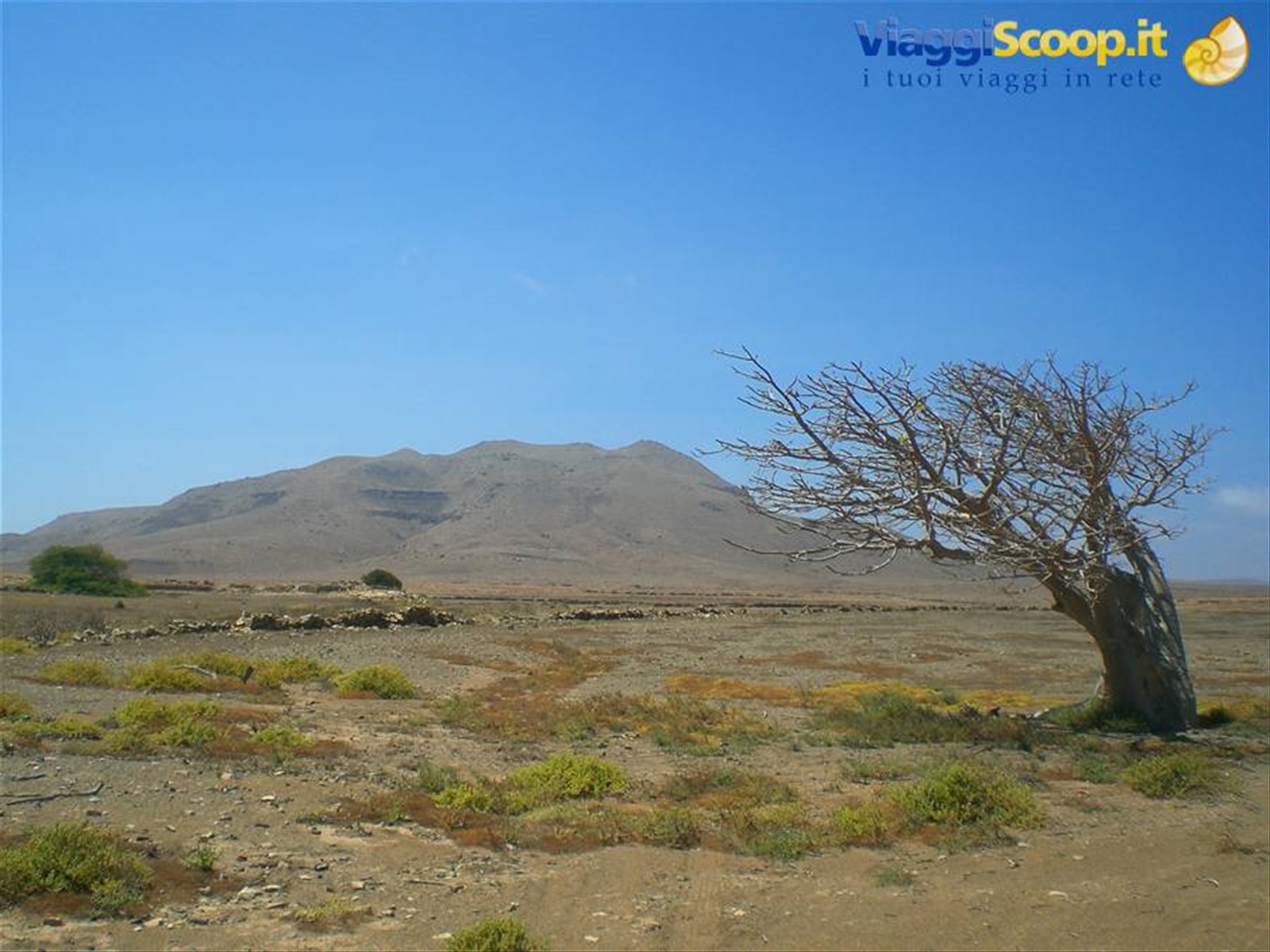 Pico Estancia