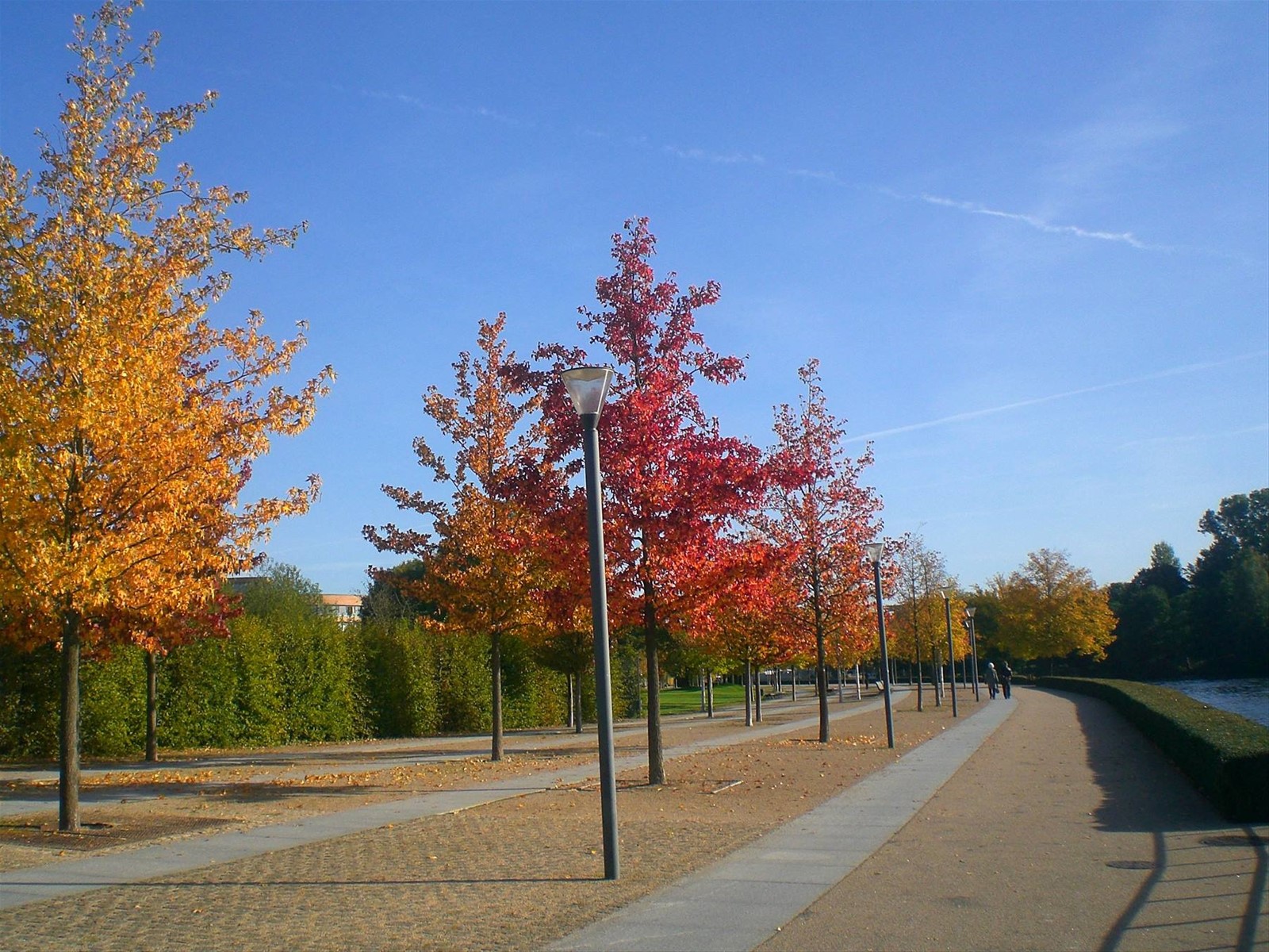 L'autunno sulla Sprea