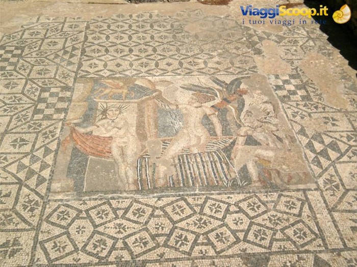 volubilis mosaici