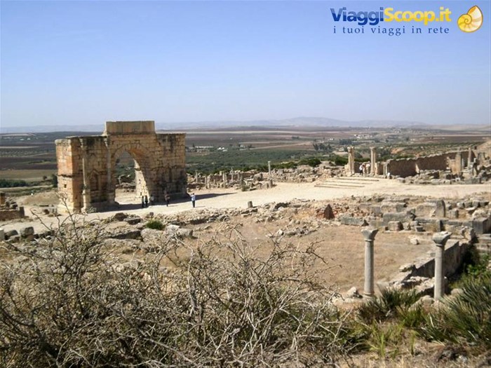 volubilis veduta