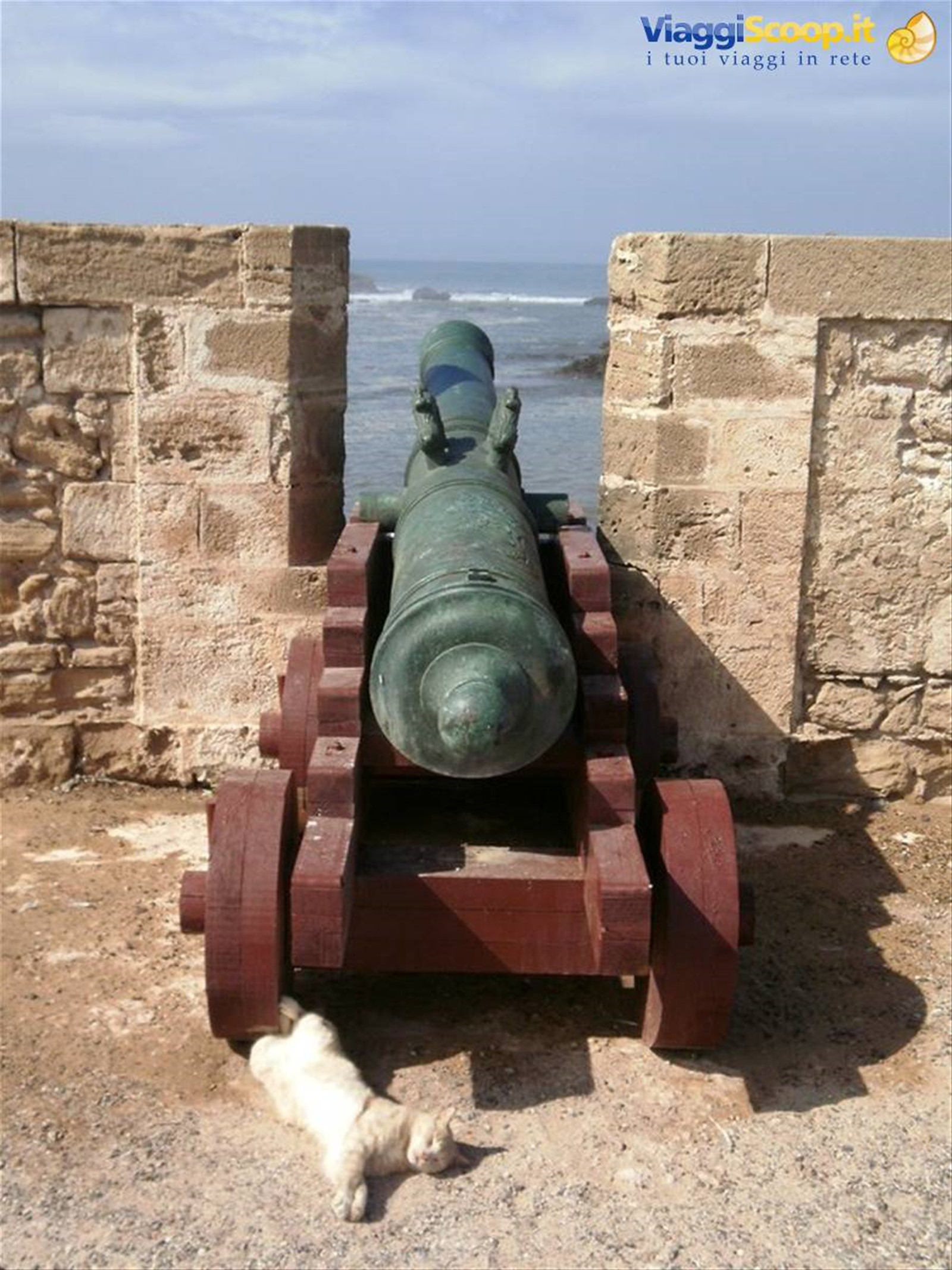 dolce riposo all'ombra del cannone