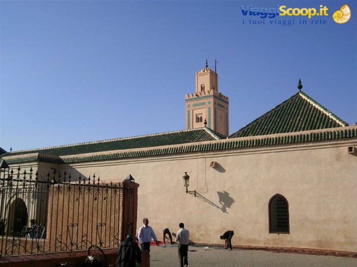 Madrassa