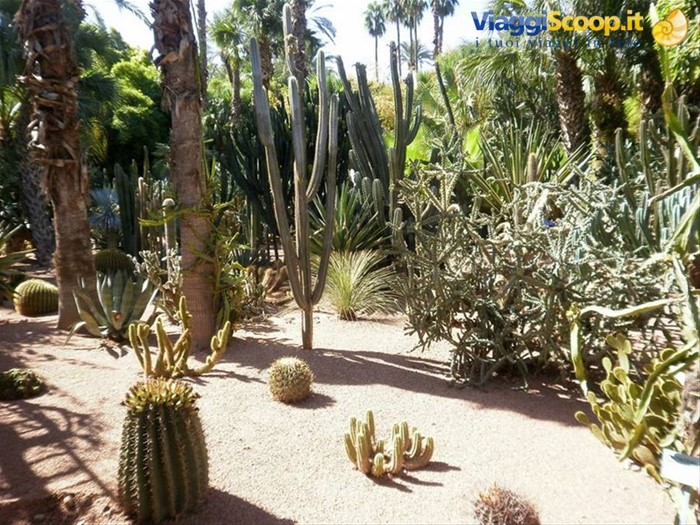 giardini majorelle