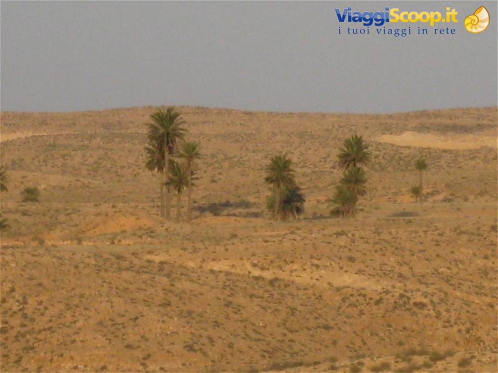 Foto di viaggio in TUNISIA