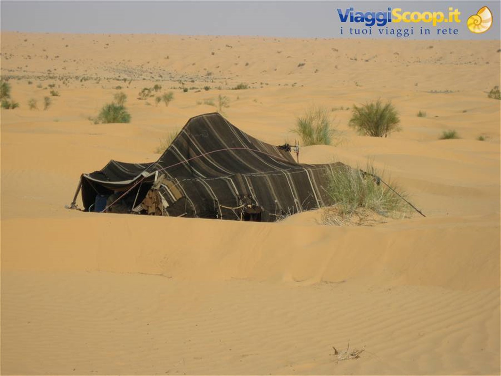 Foto di viaggio in TUNISIA