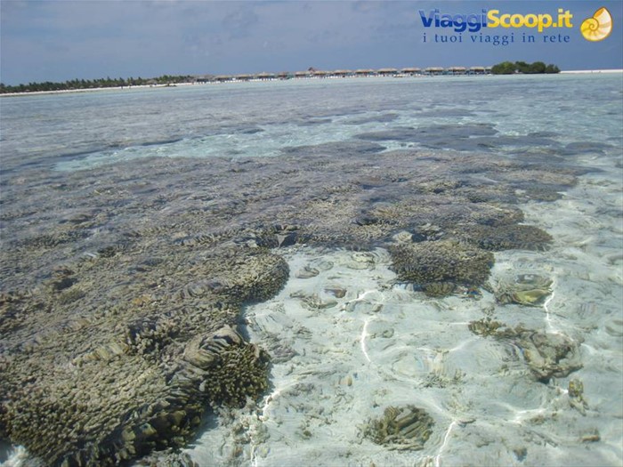 Il mare nella laguna