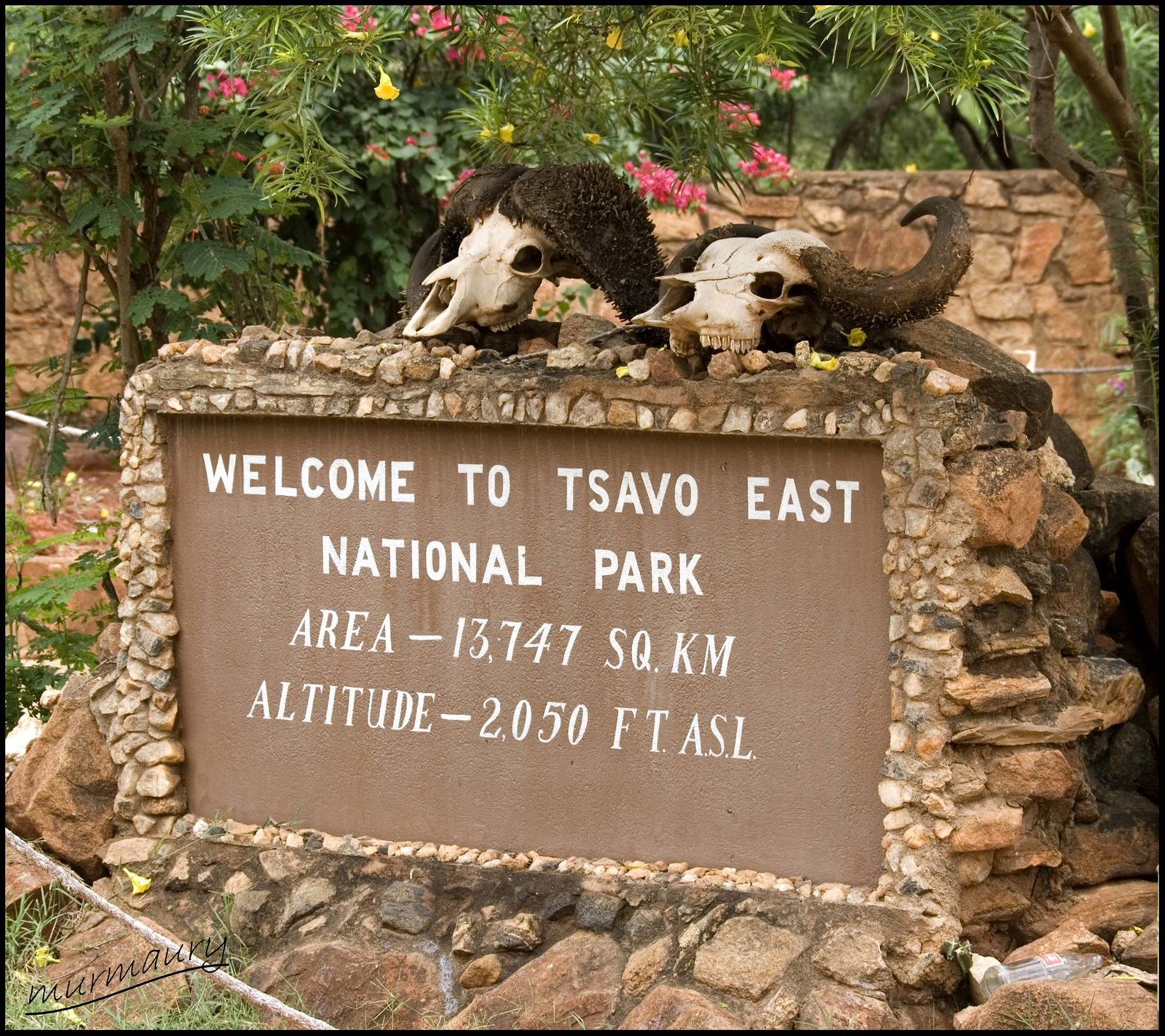 Tsavo Est - ingresso del parco
