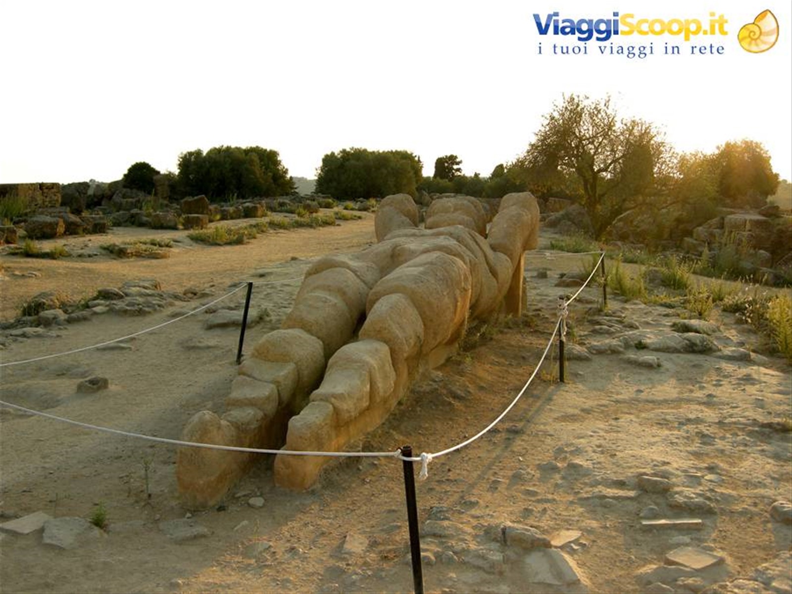 La Valle dei Templi - Un Telamone, resto del tempio di Zeus Olimpico