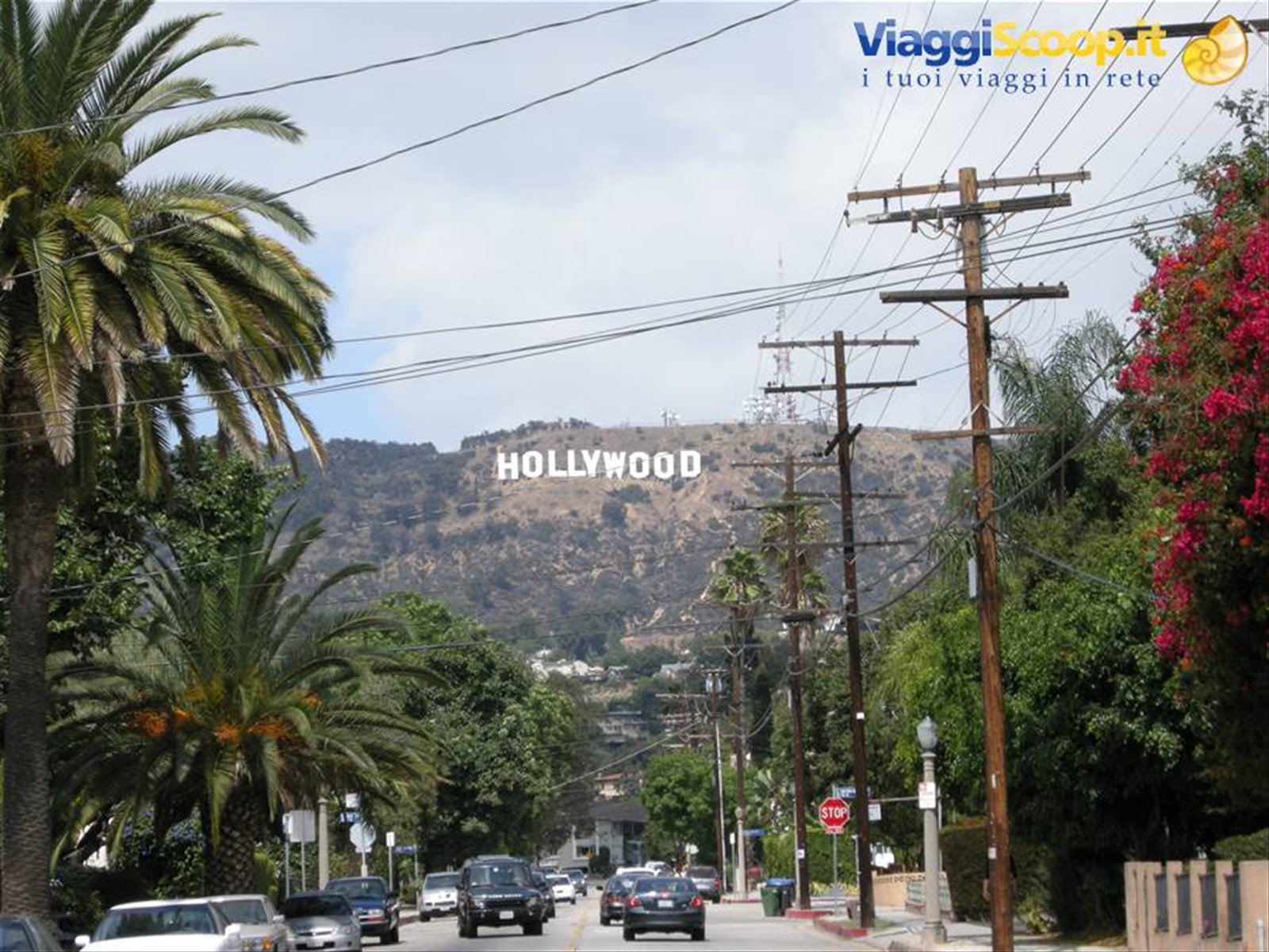 Hollywood