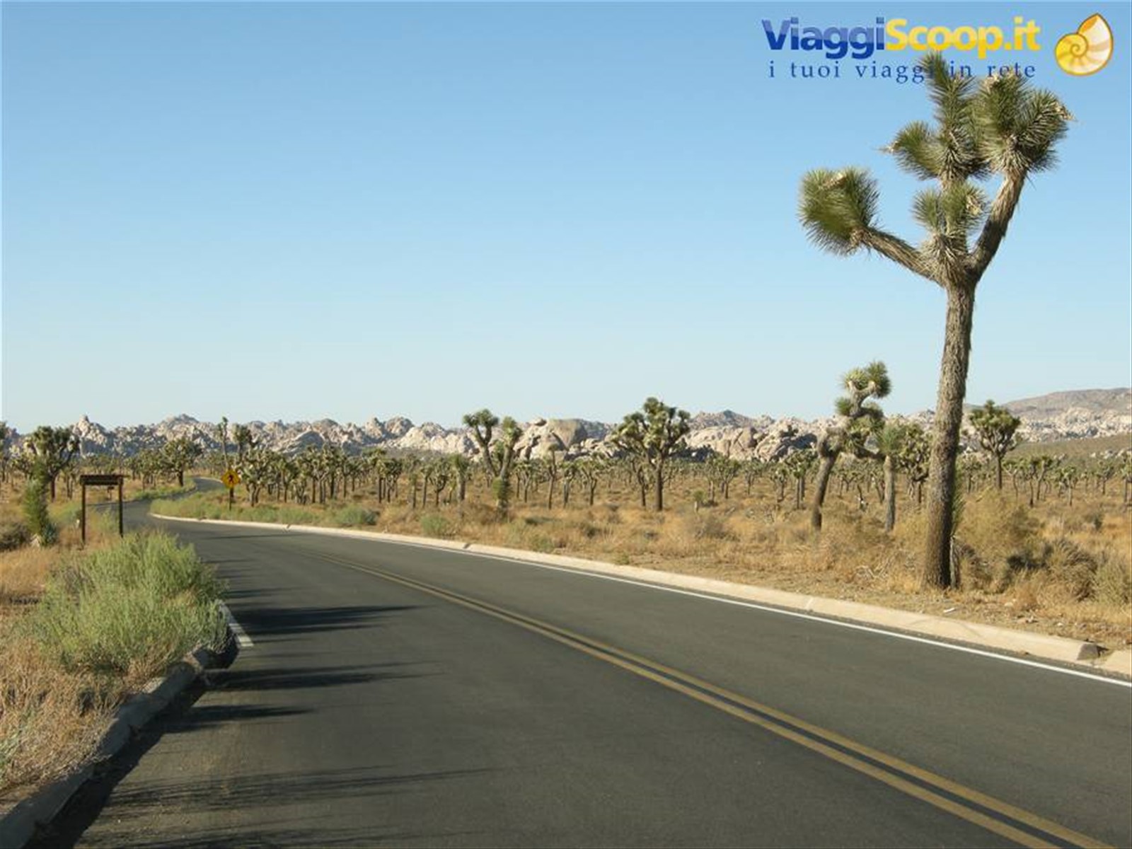Joshua Tree National Park