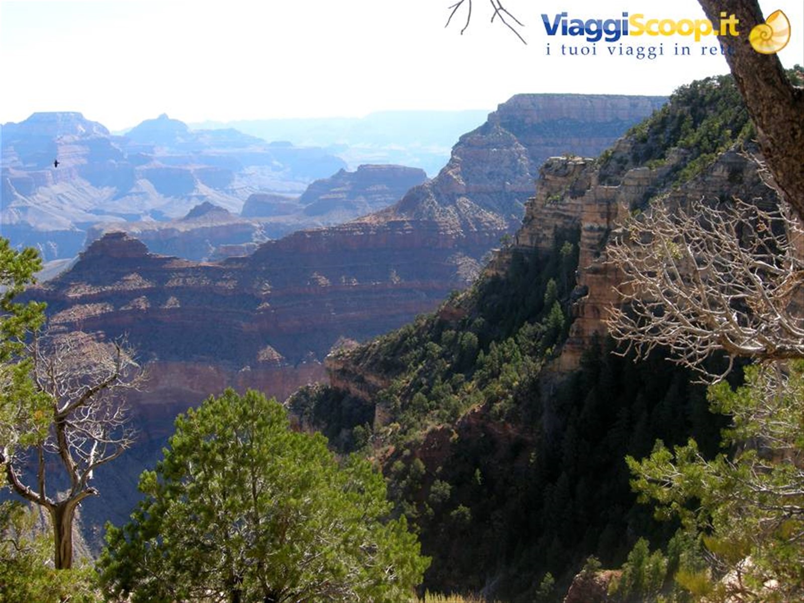 Gran Canyon - South Rim