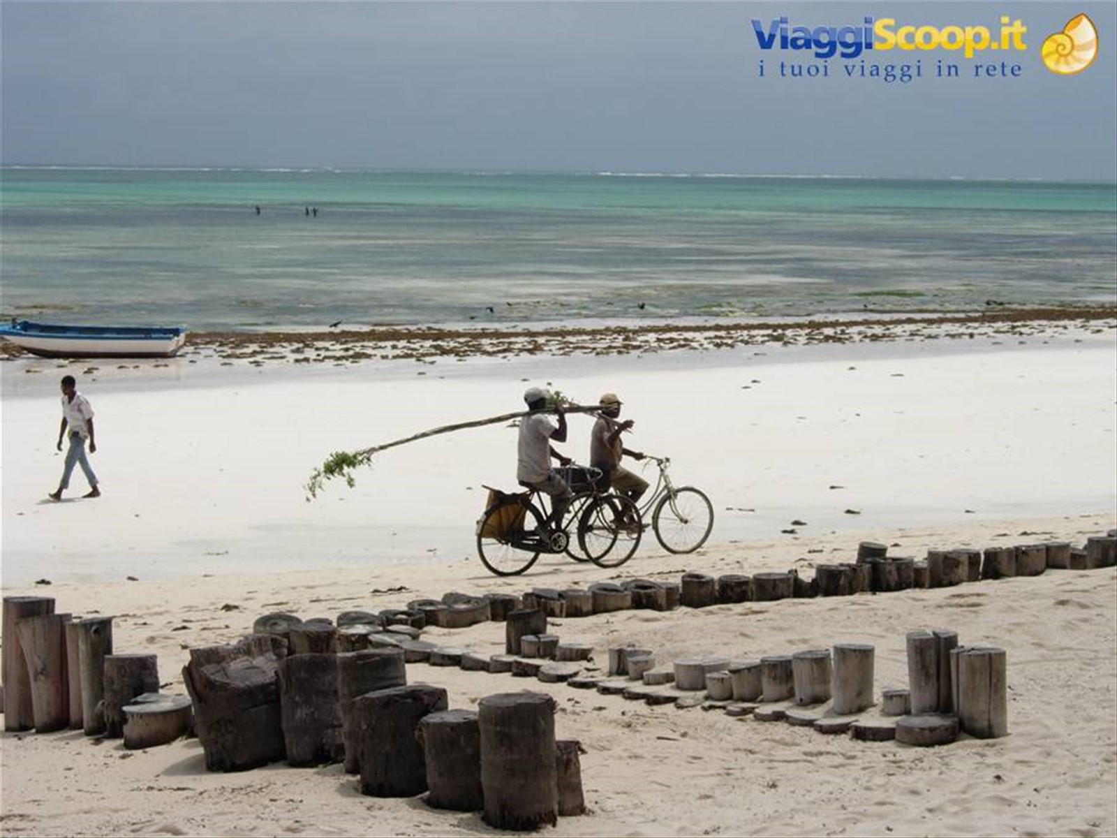 JAMBO ZANZIBAR