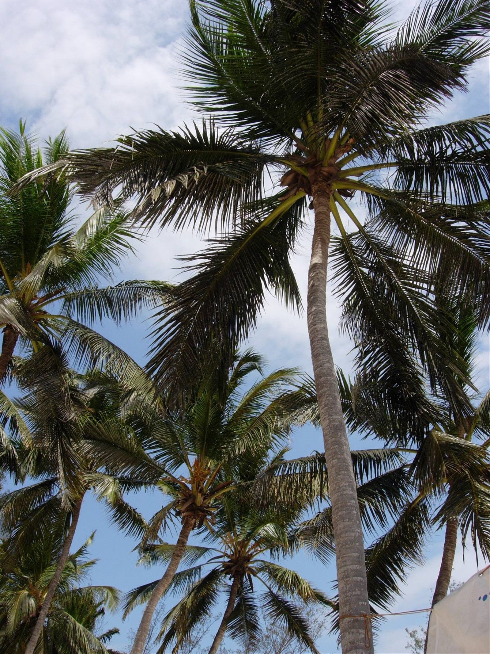 Foto di viaggio in TANZANIA