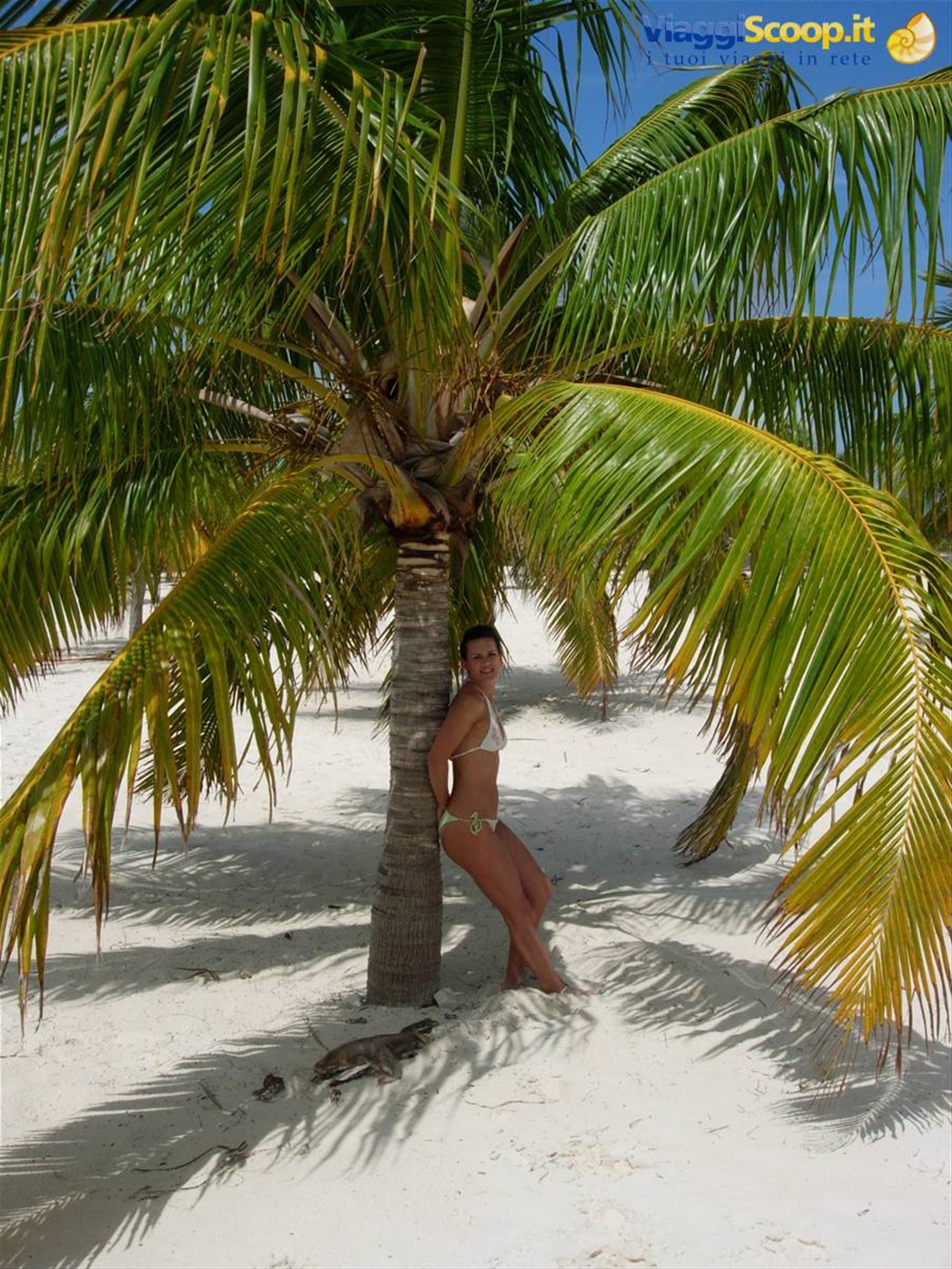 Foto di viaggio in CUBA