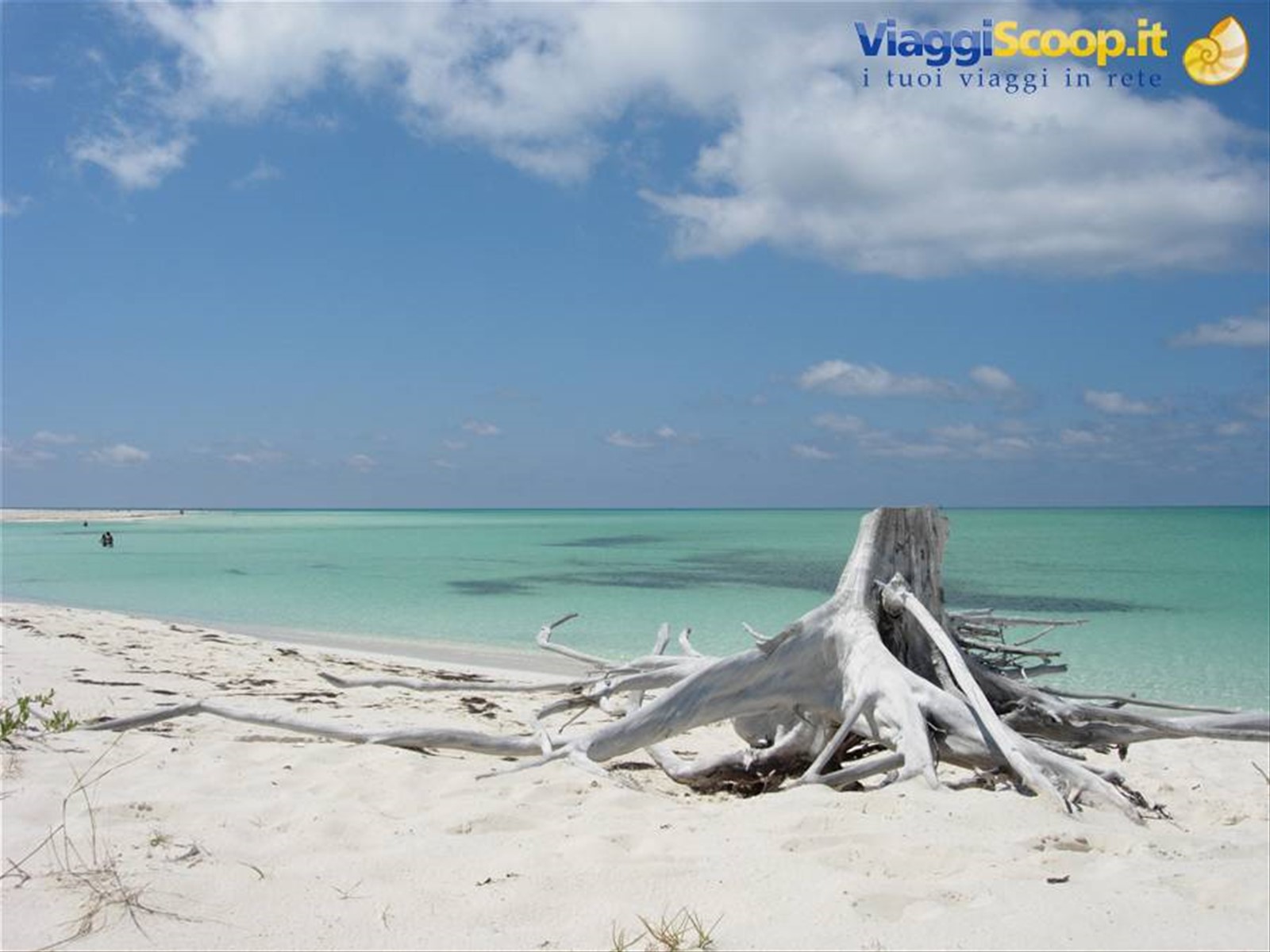 Foto di viaggio in CUBA