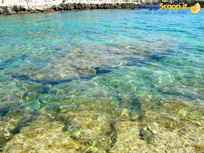 Acqua trasparente