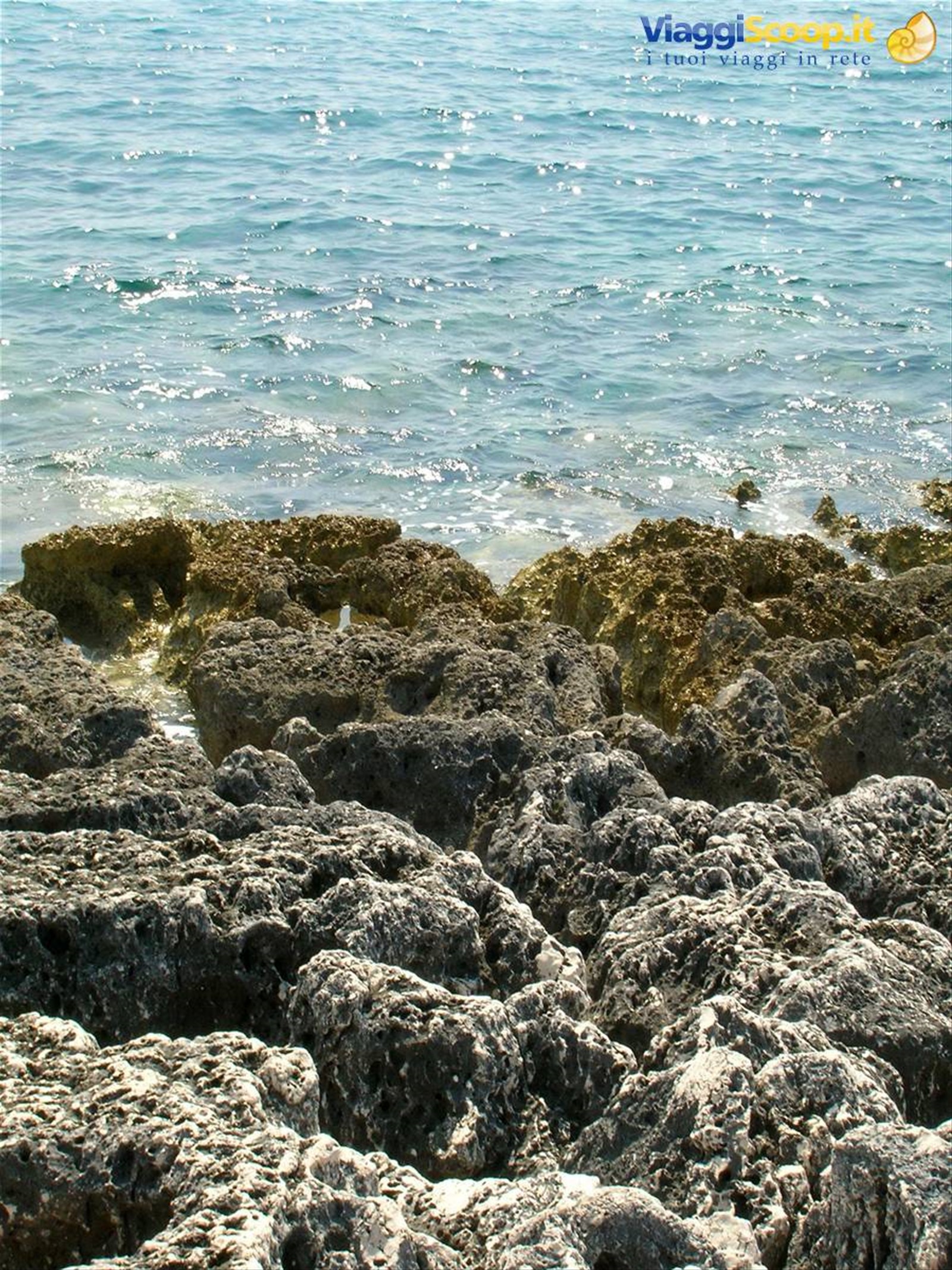 scorcio