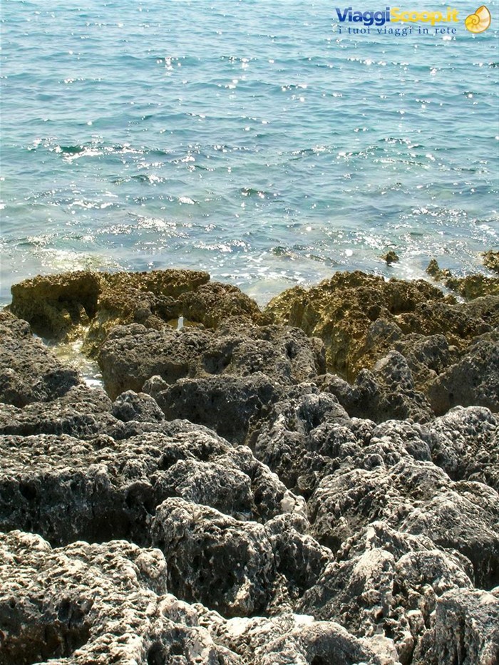 scorcio