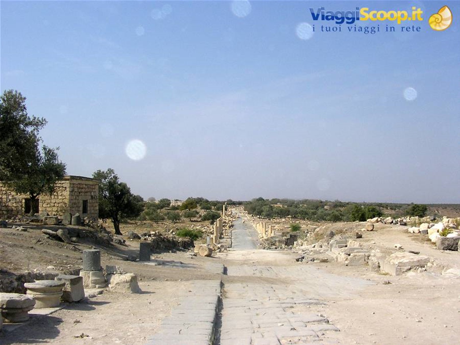 gadara