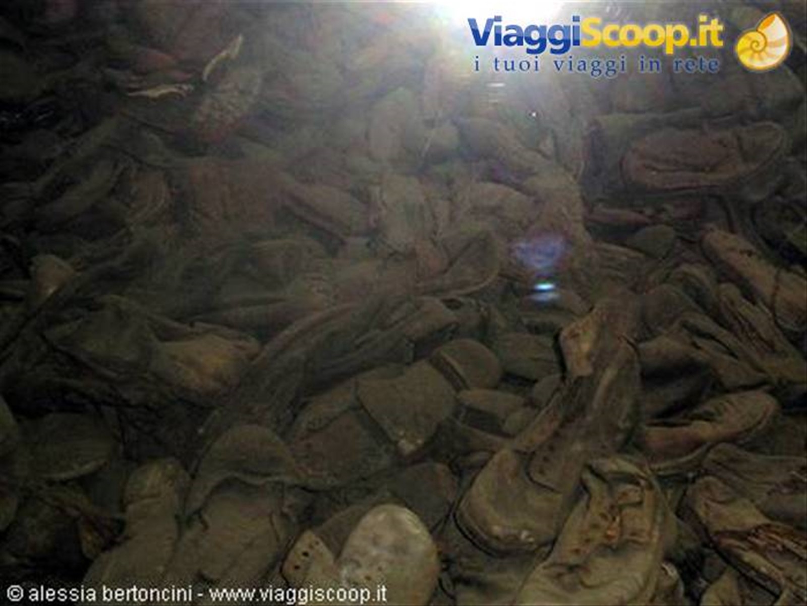 scarpe