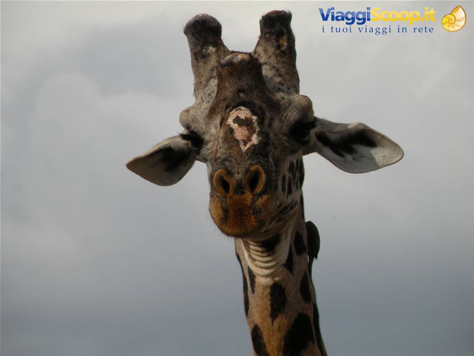 Foto di viaggio in KENYA