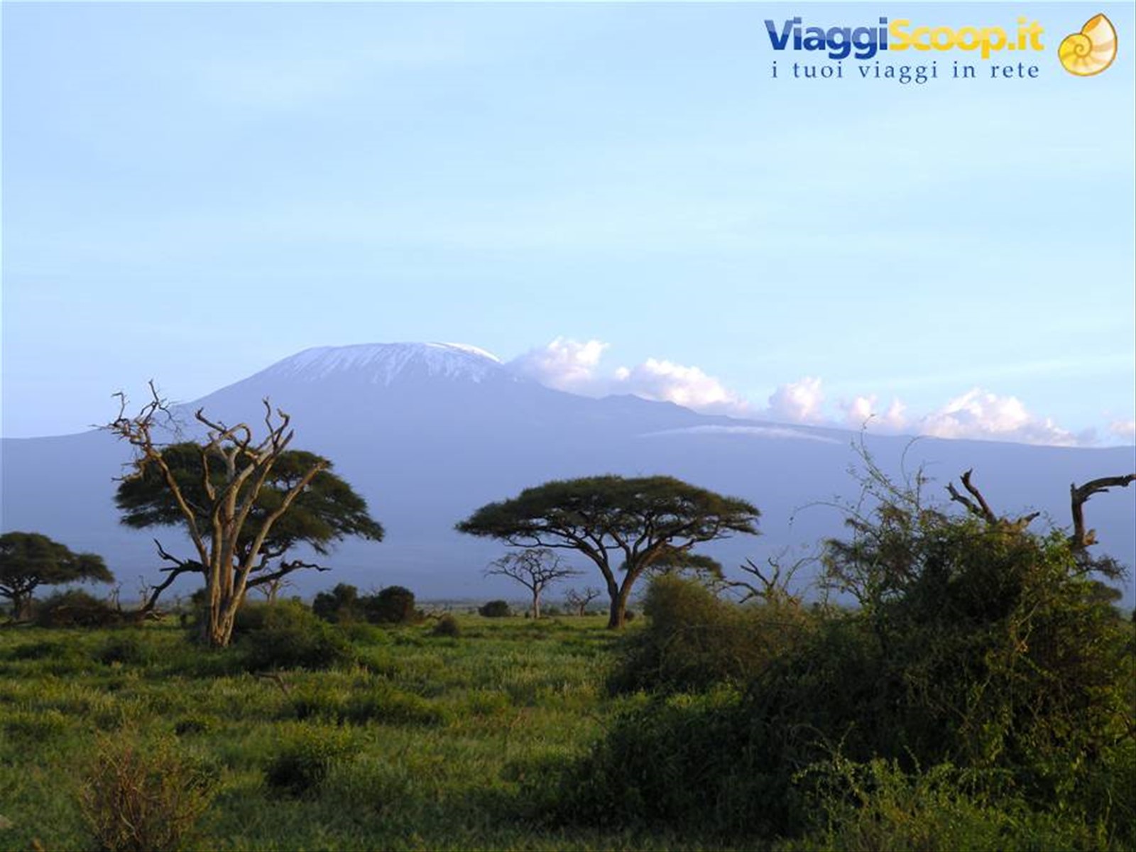 Foto di viaggio in KENYA