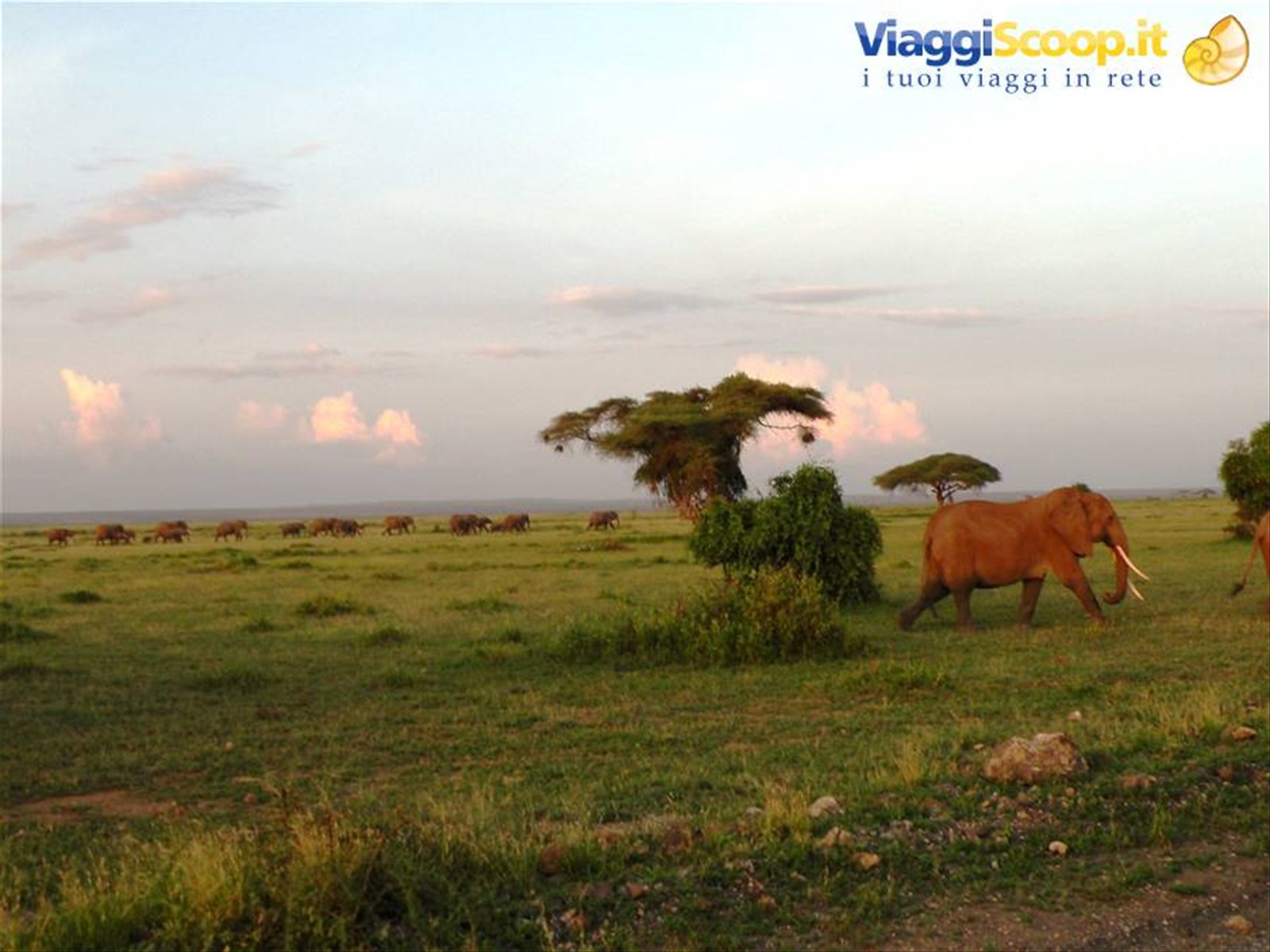 Foto di viaggio in KENYA