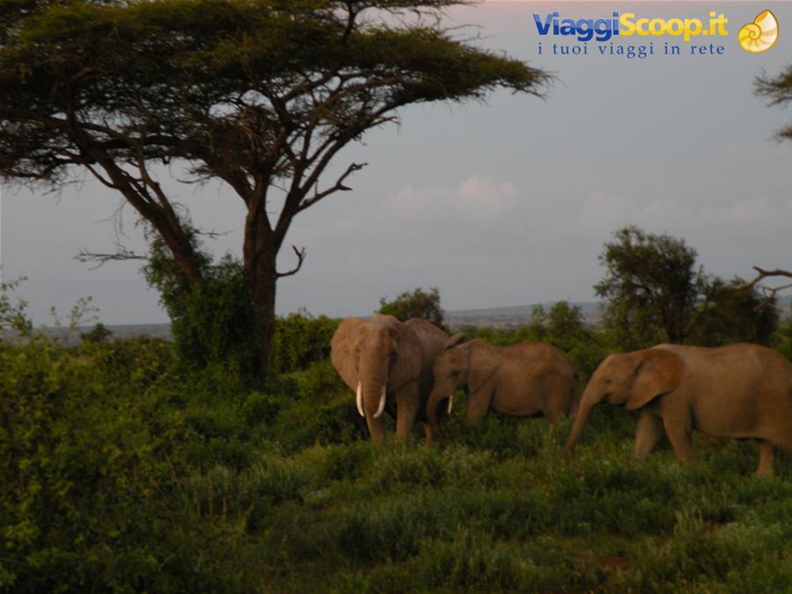 Foto di viaggio in KENYA