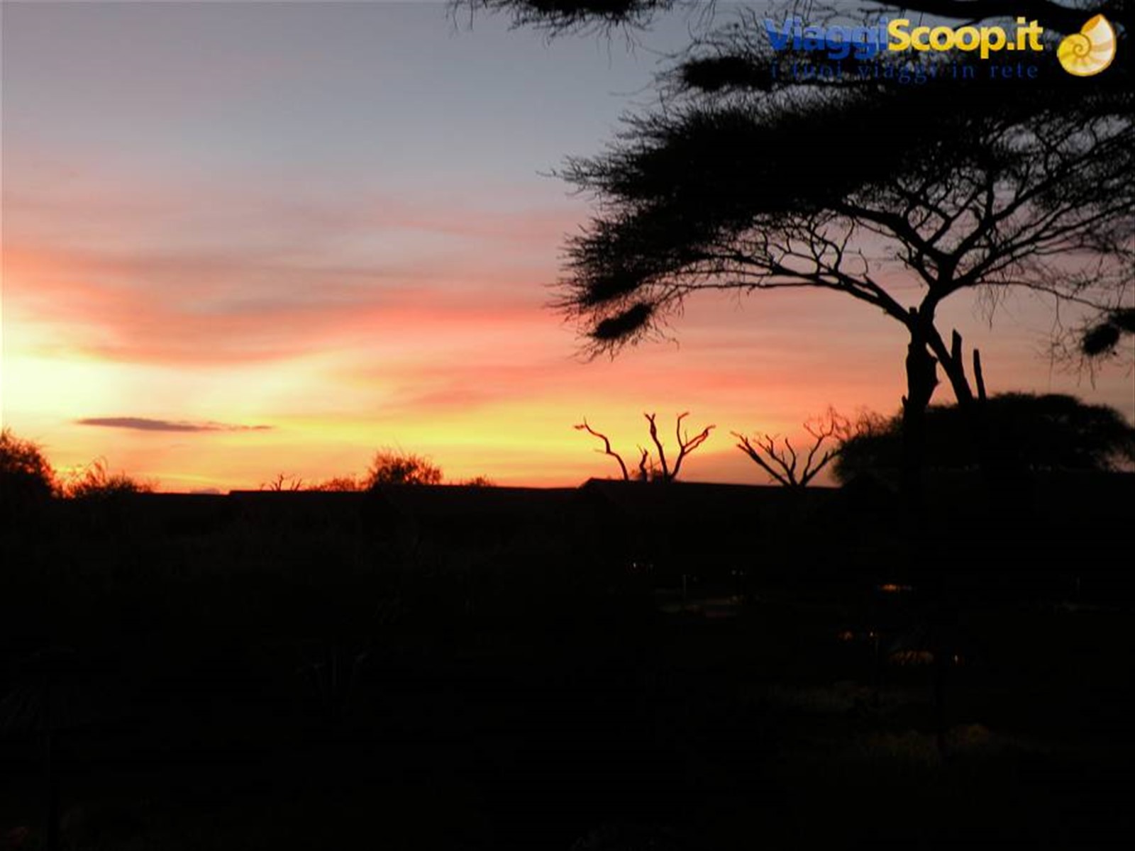 Foto di viaggio in KENYA