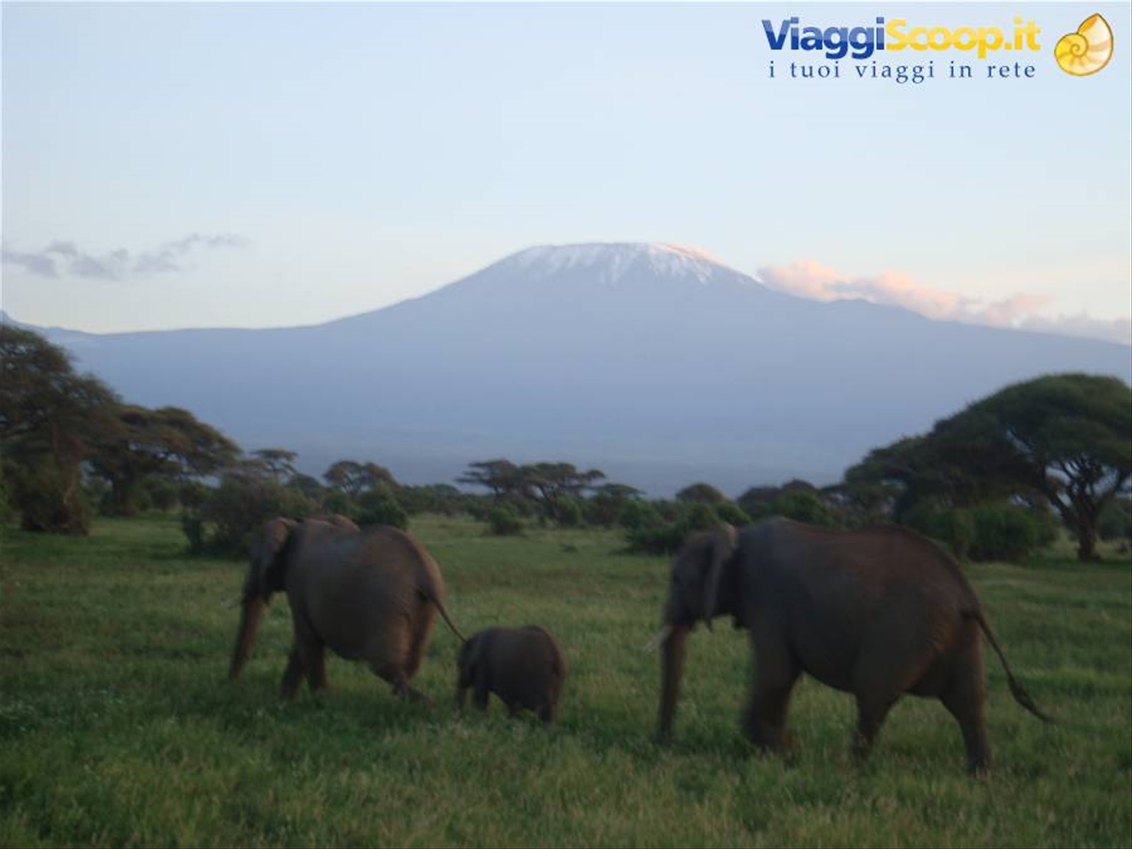 Foto di viaggio in KENYA