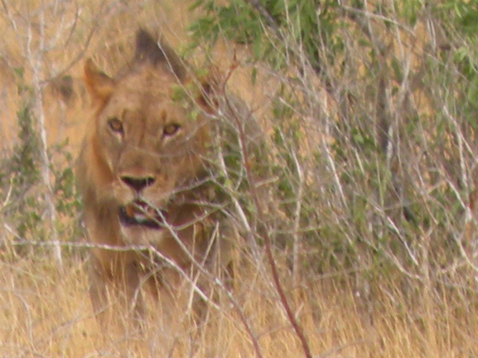 Foto di viaggio in KENYA