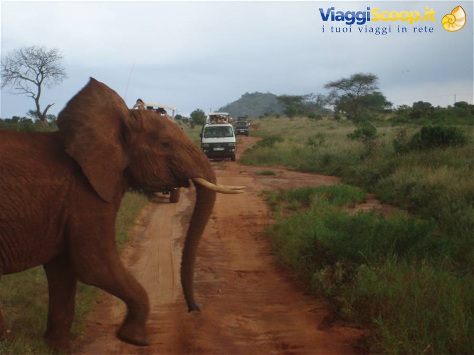 Foto di viaggio in KENYA