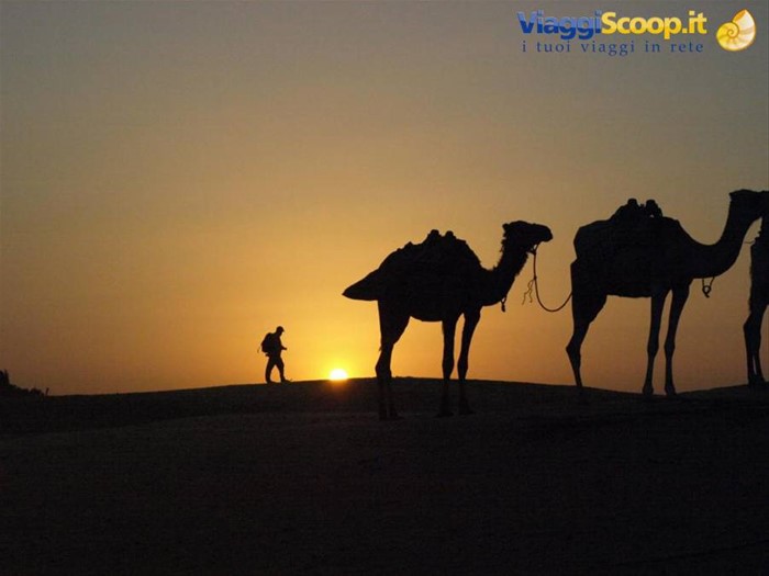Tour, Viaggi , vacanze é aventure in Marocco 