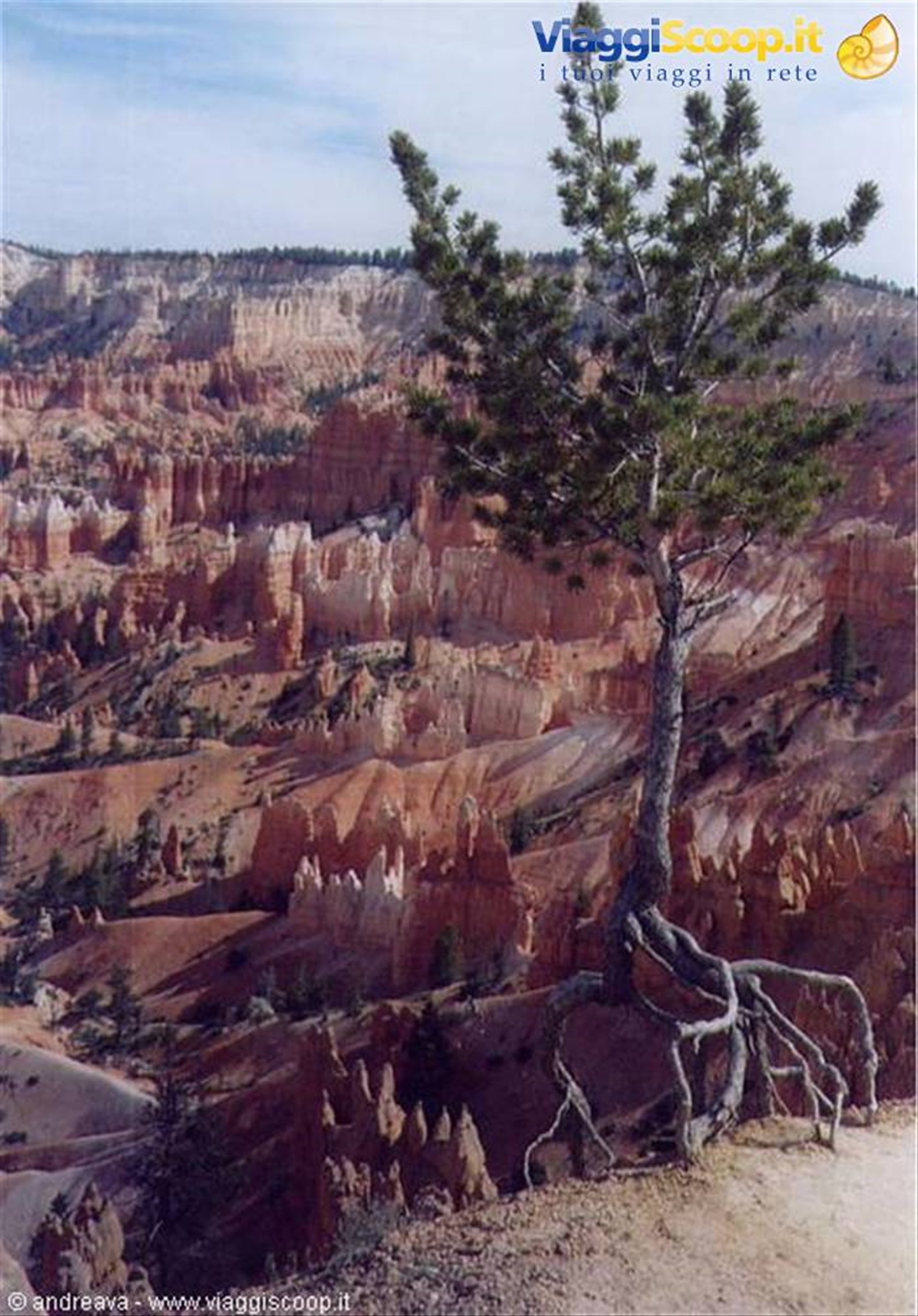Foto di viaggio in STATI UNITI D'AMERICA