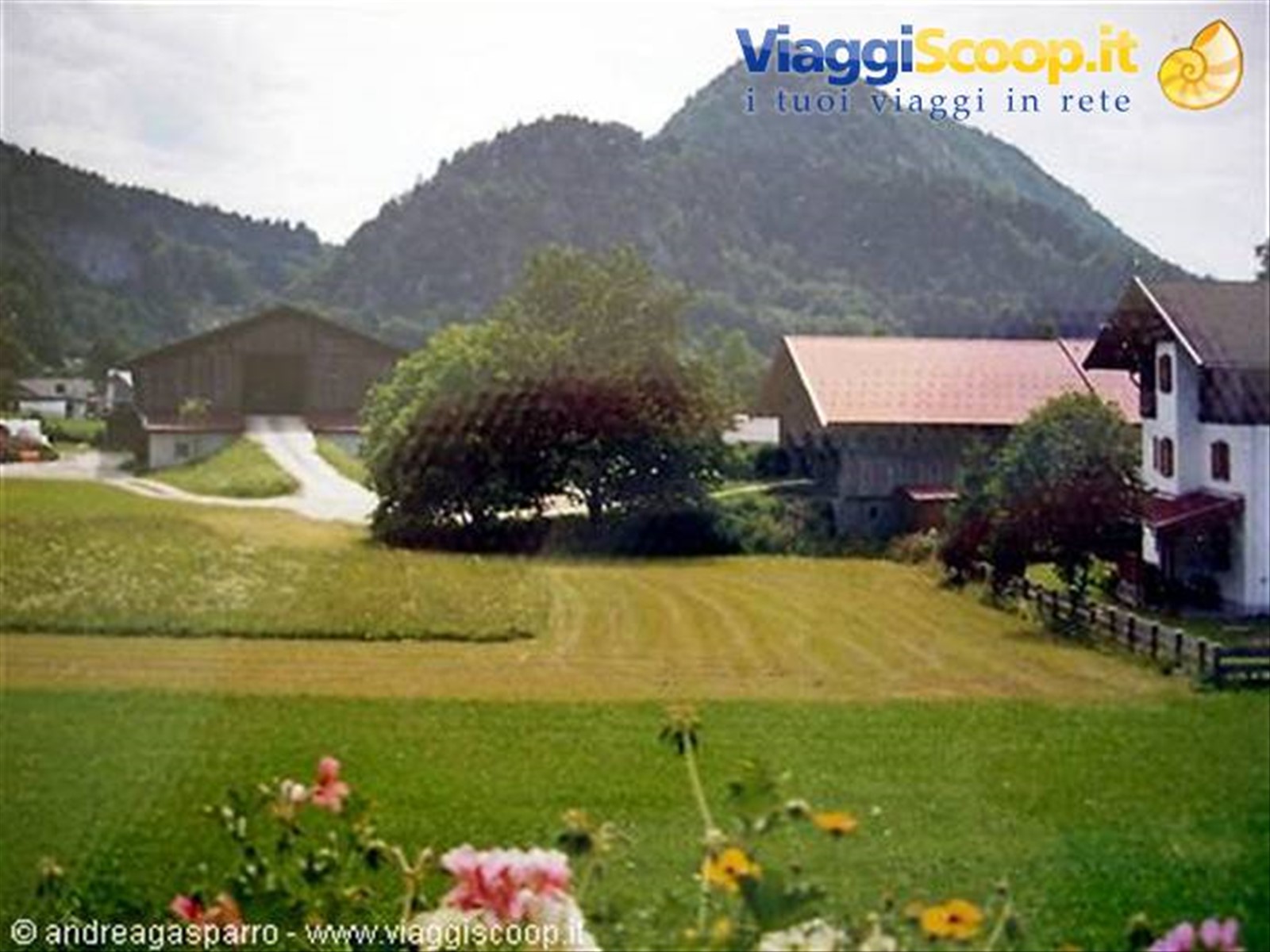 Dall'Albergo