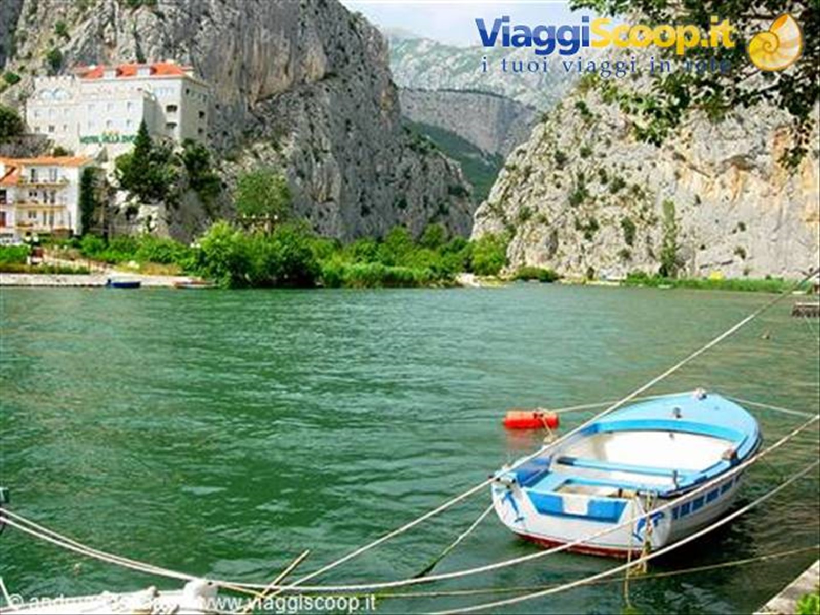 Omis