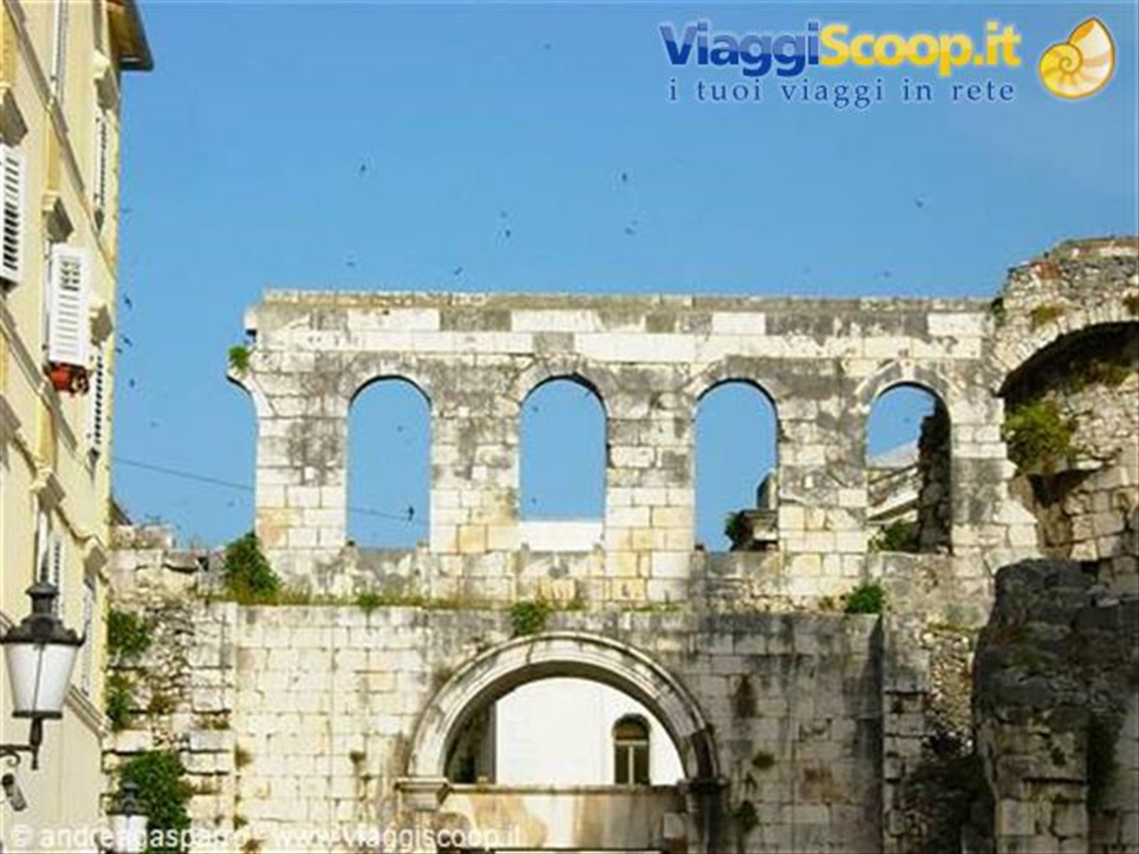 Spalato