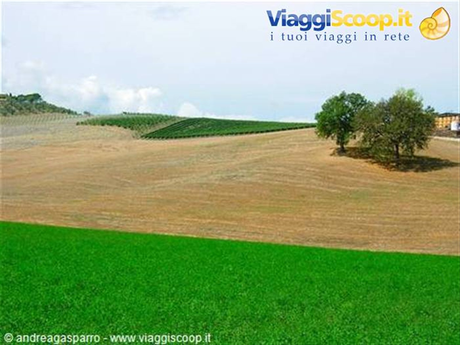 Foto di viaggio in ITALIA