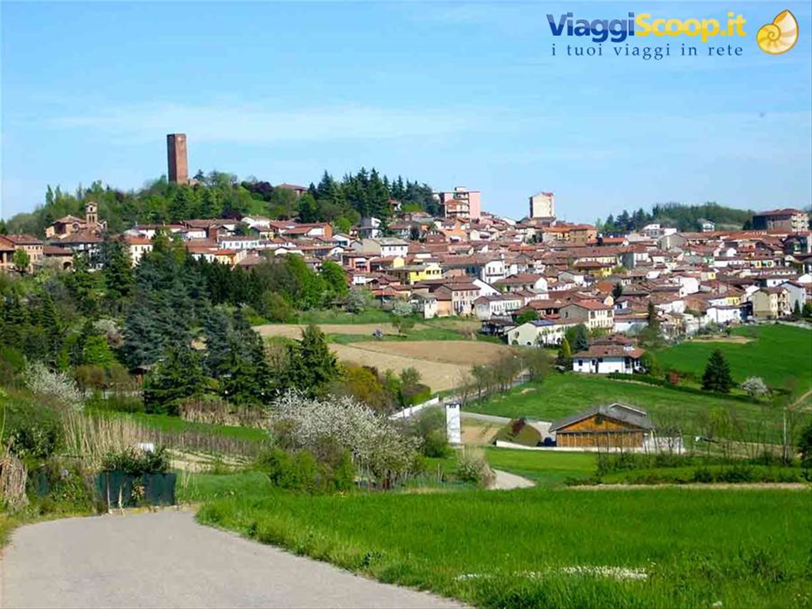 Veduta di San Salvatore Monferrato