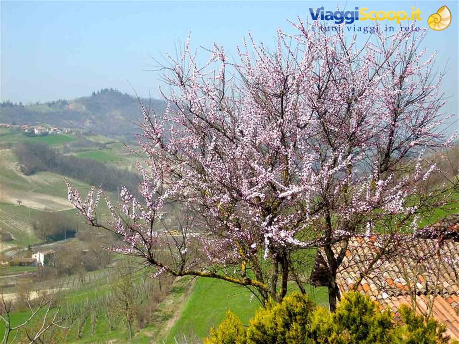Veduta delle colline di Borgo Priolo