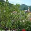 foto viaggio ITALIA