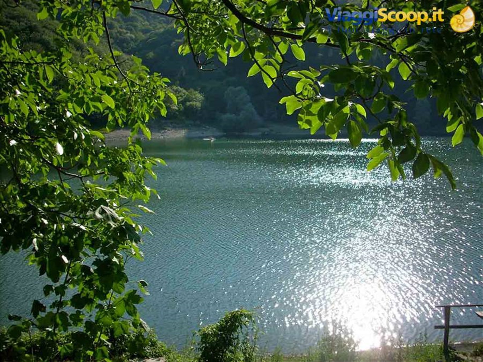Scorcio del Lago di Osiglia