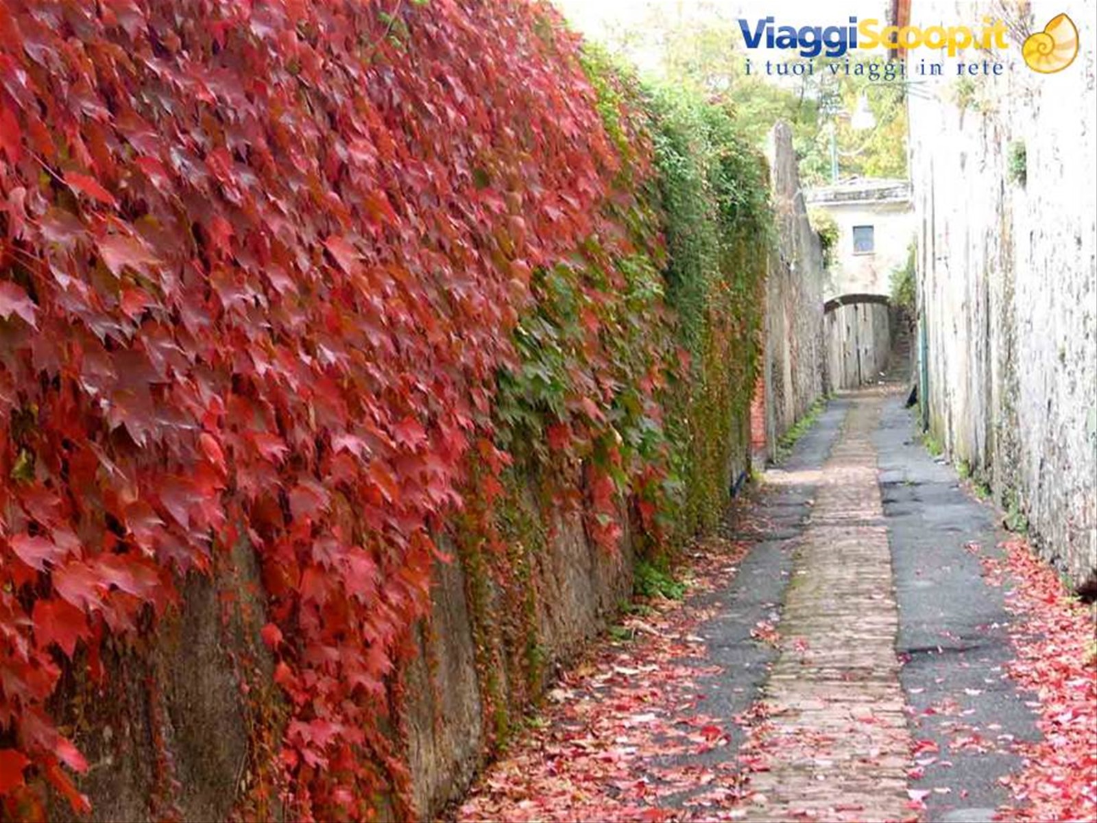 Autunno nel centro di Voltri