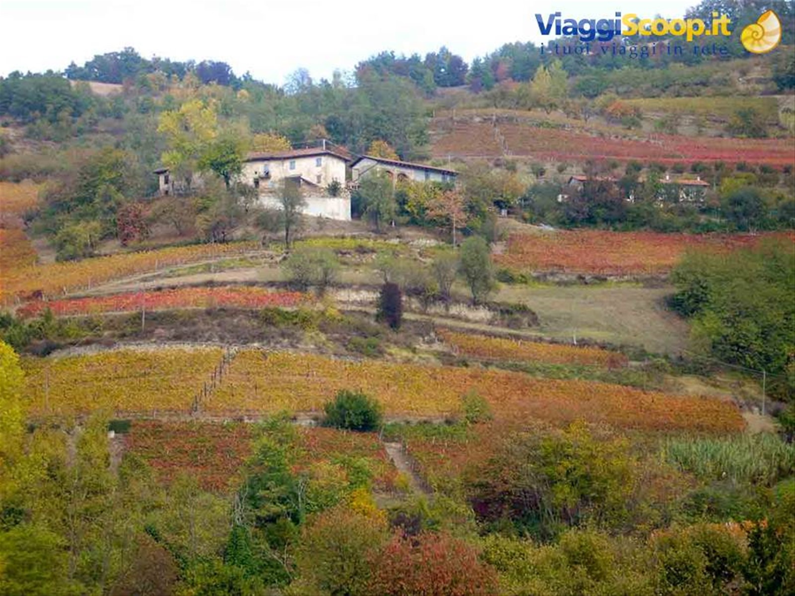 Le splendide colline intorno ad Alba