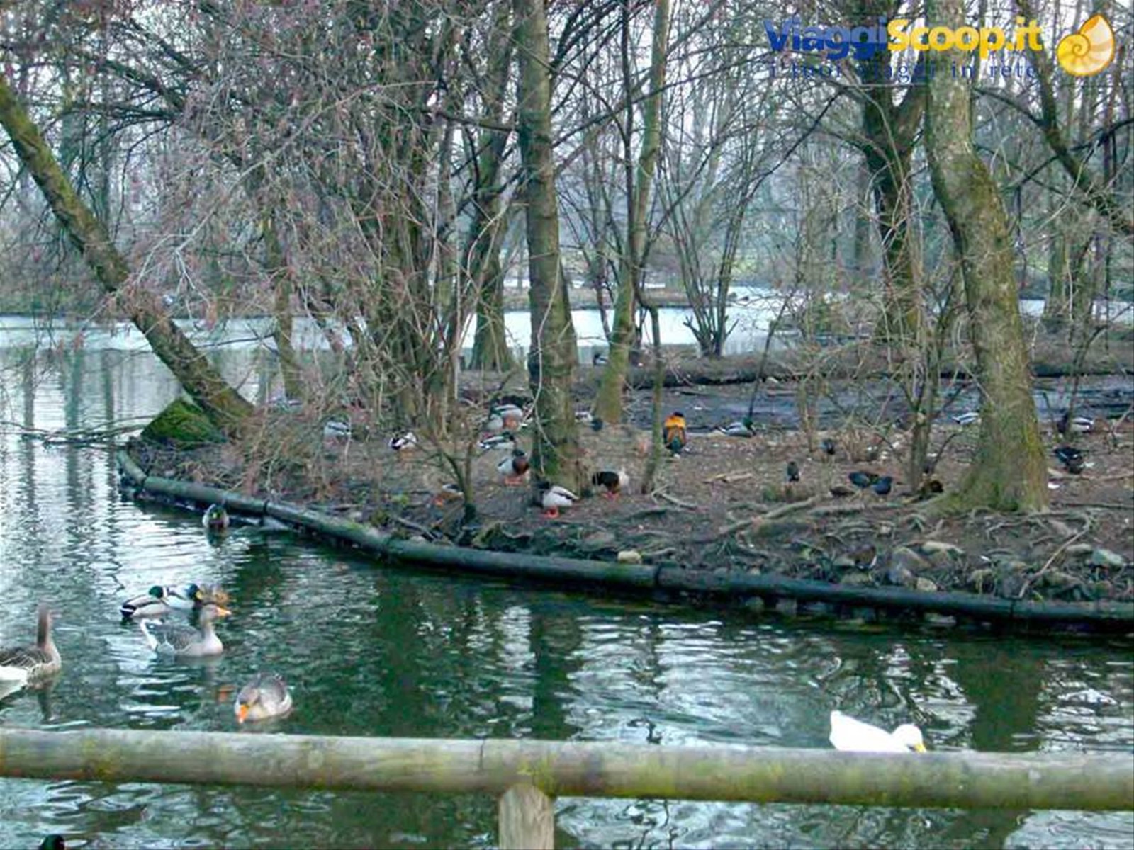 Nel Parco di Legnano