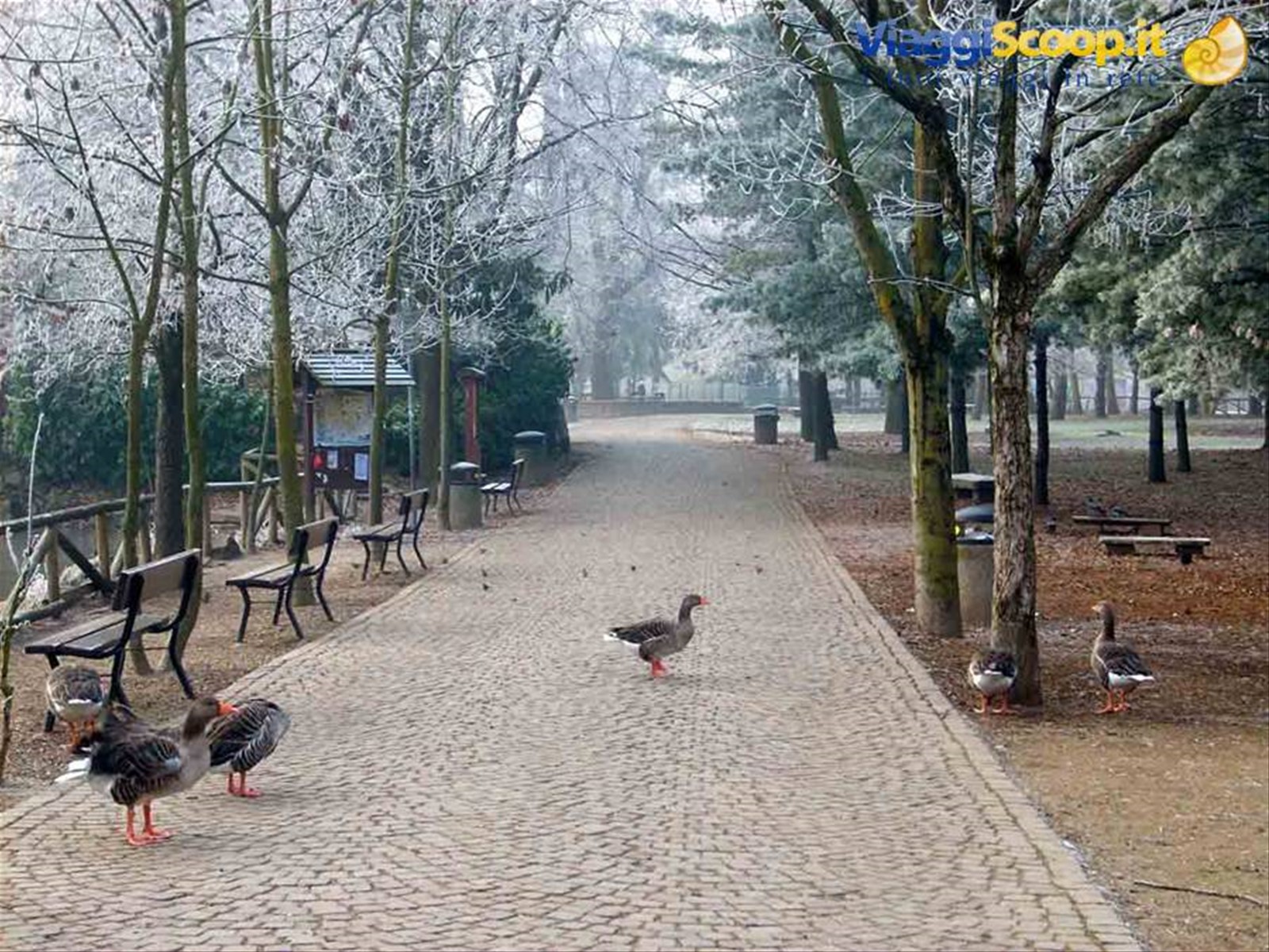 Nel Parco di Legnano