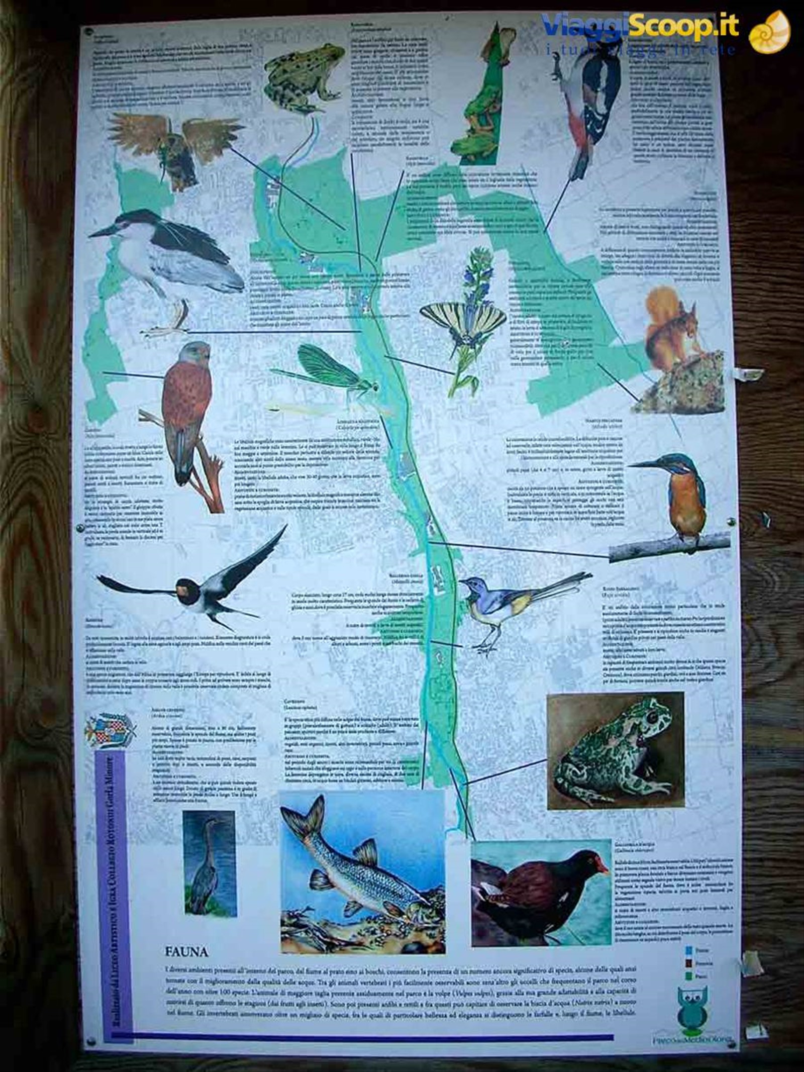 La fauna della Valle Olona